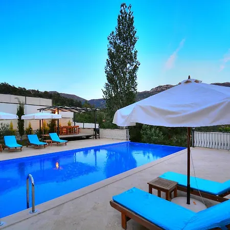 Beyaz * Kalkan